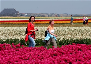 Wandelen in Bloeiend Zijpe, echt werelduniek!