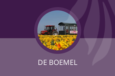 De boemel
