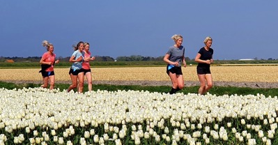 Tulpencross